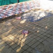 Укладка тротуарной плитки